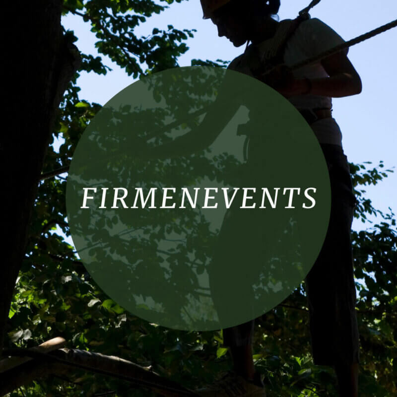 Firmenevents im AbenteuerPark – Teambuilding, Betriebsausflug, Sommerfest